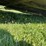john-deere-14-image-7