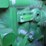 john-deere-9600-image-47