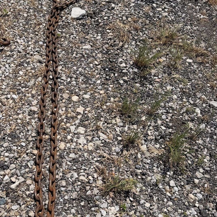 10-ft Log Chain - Broken link on one end