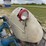 ford-9n-image-19