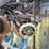 2015-kinze-16-row-corn-planter-with-dry-fertilizer-image-29