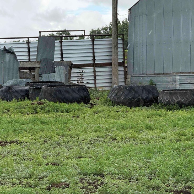 Qty. (20) Tire Feeders