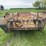 new-idea-217-image-9