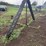 cattle-back-rubber-image-1
