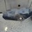 troy-bilt-bronco-image-30