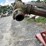 bush-hog-287-image-7