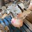 bin-spreader,-single-phase-image-3