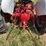 ford-8n-image-28
