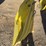 poly-auger-hopper---4’-wide-image-4