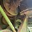 1982-john-deere-7720-image-10