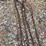 24’-log-chain-image-3