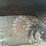 2007-ford-f450-image-48