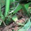 john-deere-567-image-22