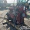 yoder-&-frey:-florida-image-5