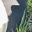 mayrath-auger-8”x33’-w/-540-pto-image-17