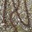 18’-log-chain-image-2