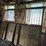 12'-x-12'-horse-stall-image-1