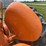 minneapolis-moline-utu-image-31