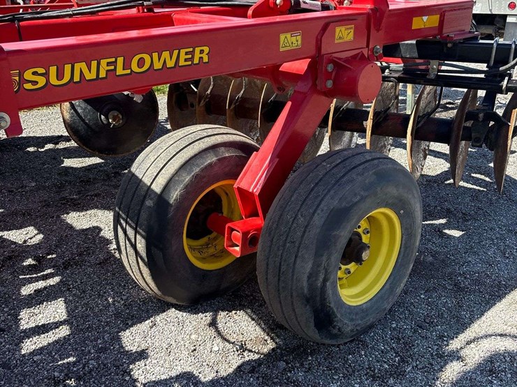 sunflower-disc-image-28