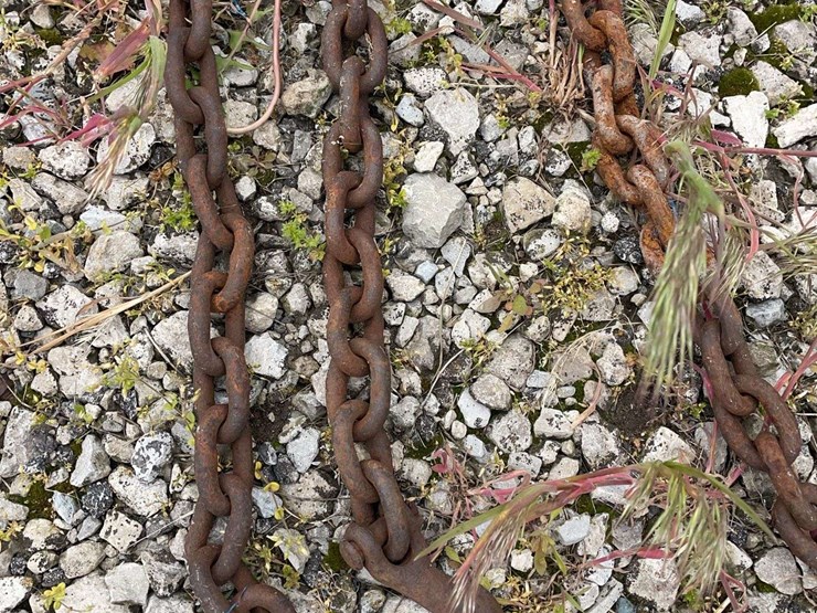 19’-log-chain-image-2