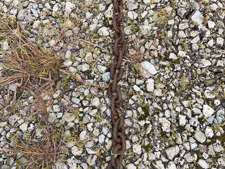 15-foot-log-chain-image-2