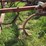 glencoe-9-shank-chisel-plow,-with-leveling-bar-image-6