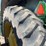 2011-john-deere-8260r-image-37