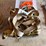 large-lot-of-ratchet-straps-image-4