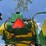 2019-john-deere-1795-image-17