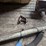 14-ft-seed-auger-w/-hopper-,-brush-flighting-image-5