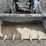 2022-bobcat-t550-image-10