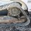 2021-bobcat-t870-image-19