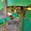 2010-john-deere-6115d-image-61