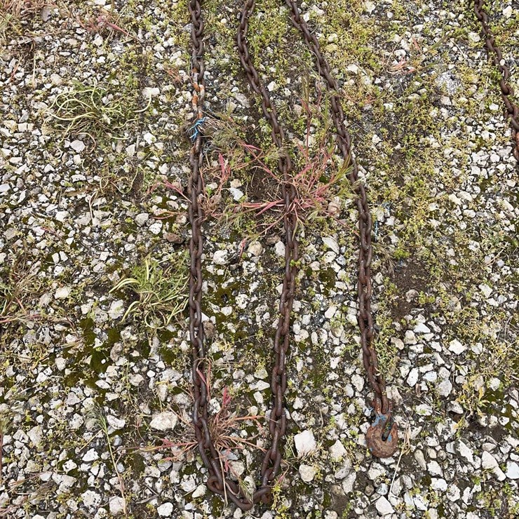 13’ log chain
