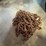 truck-tire-chains-image-1