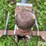 shop-built-3-pt-bale-spear-image-11