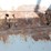 #1008-•-crustbuster-27ft-grain-drill-image-28