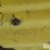 46"x28"-rim-image-9