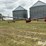 peck-1004-image-4