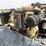 caterpillar-c4.4-image-7