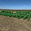 john-deere-612c-image-2