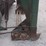 #1020-•-1996-pickett-6r30a-one-step-bean-cutter-image-52