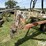 chem-farm-cpx160-chisel-plow-image-10