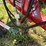 farm-king-g4v-57-tedder-image-13