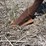 6r30"-cultivator-image-13