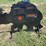 pabreak-bear-shaped-reactive-shooting-target-image-1