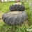 new-holland-8630-image-5