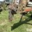 chem-farm-cpx160-chisel-plow-image-9