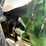 john-deere-8640-image-16