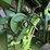 john-deere-s680-image-72